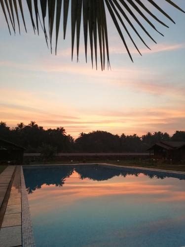 Arambol Resort | Radhika Eco Resort(Odonata)