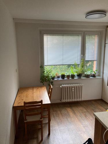 Rajec Apartment | Rajec