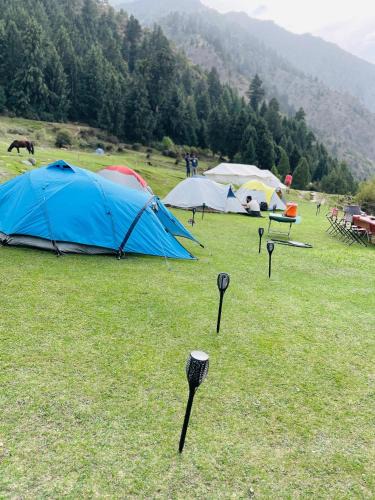 Hunza Other | Rakaposhi Base Camp Site