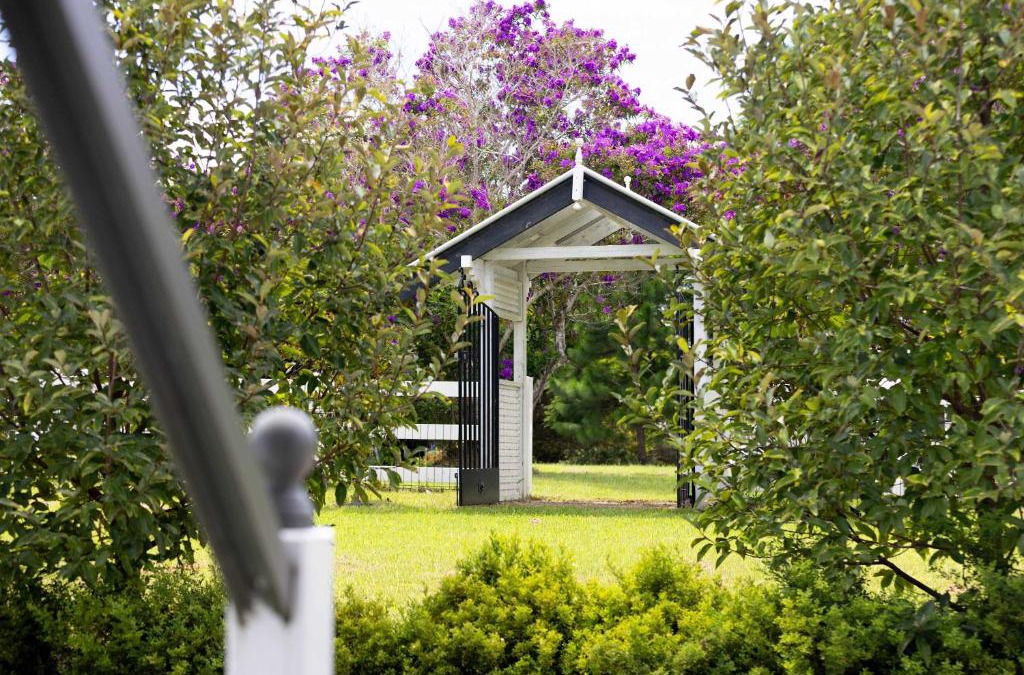 Witta House | Rambling Roses