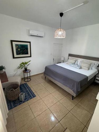 Maleza Baja Apartment | Ramey Loft 3