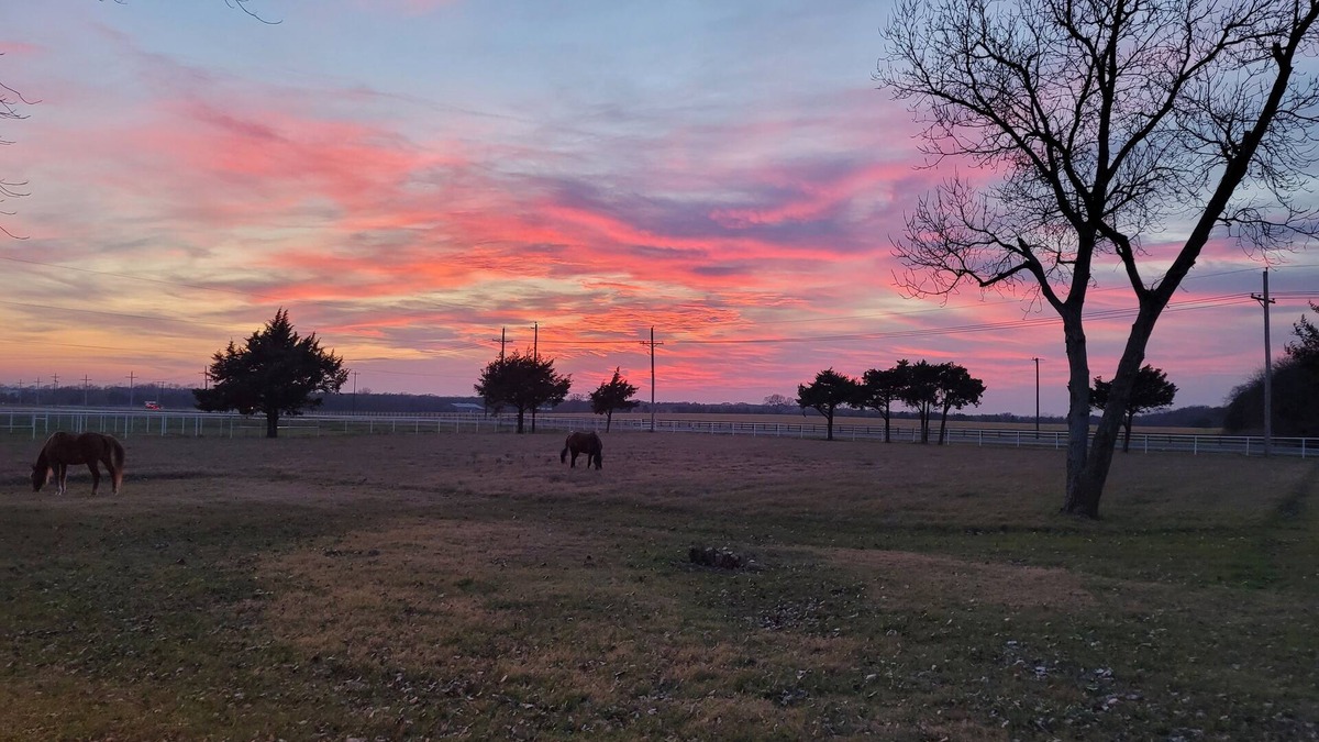 Pilot Point Other | Ranch at Lake Ray Roberts - 10 Acres walk to lake 4 Bed 2 Bath