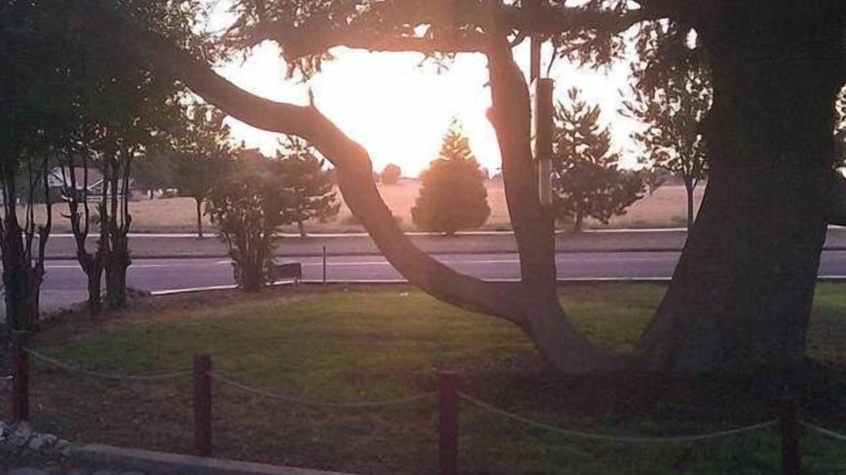 Tehachapi Hotel | Ranch Motel