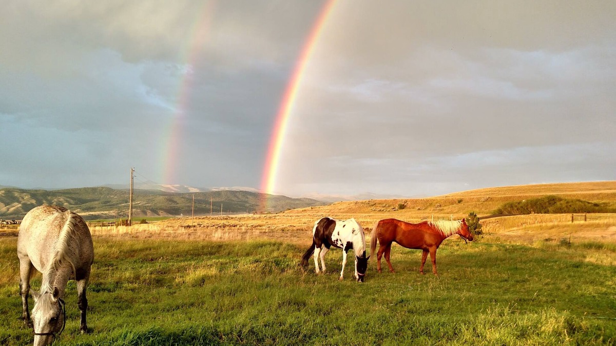 Helena Other | Ranches, Lakes, Mountains & the Great Outdoors. Bring Your Horses Pasture Onsite