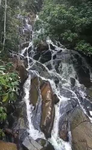 Ortigueira Hotel | Rancho do Pijuca - Usina Mauá