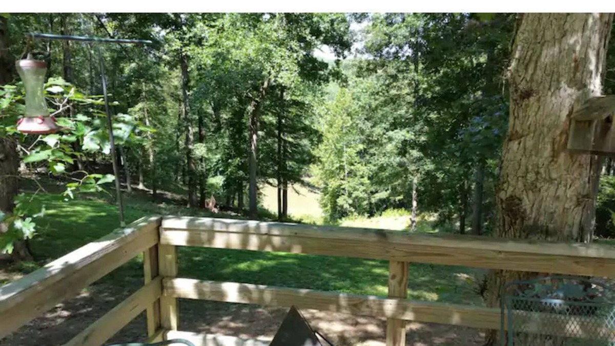 Fredericksburg House | Rapidan Hill - River front guest house