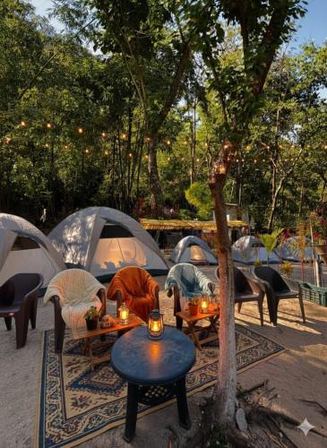 Laitmawsiang Other | Rapsyngkremcampsite
