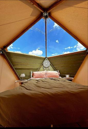 Valle Other | Raptor Ranch Glamping