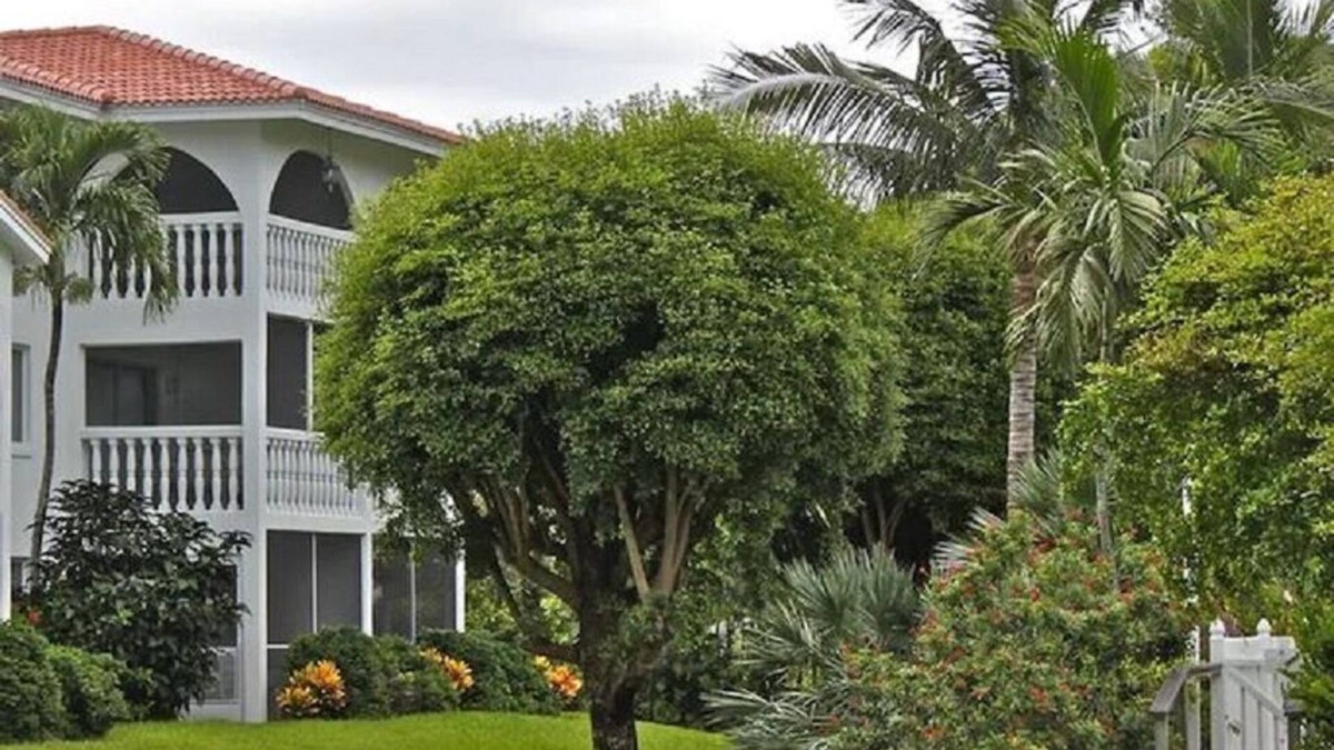 Sanibel Condo | Rare ground floor condo, just steps to the pool or to the famous Sanibel Beach.