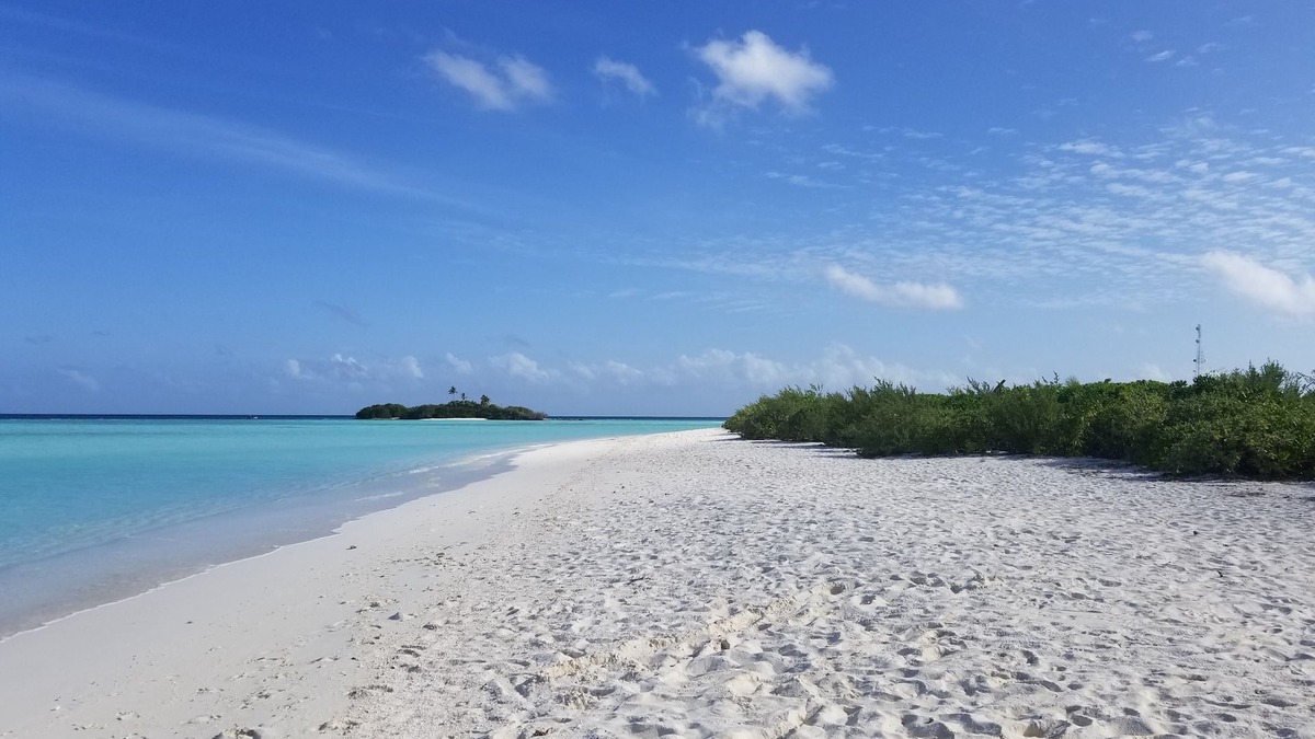 Rasdhoo House | Rasdhoo Lilac Stay (calm and peaceful stay)