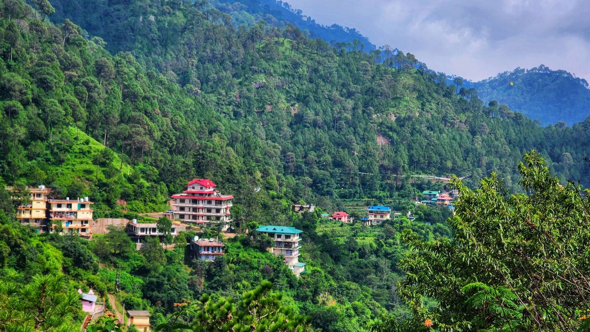 Kumarhatti Villa | Rashmi Cottage - A Boutique Homestay