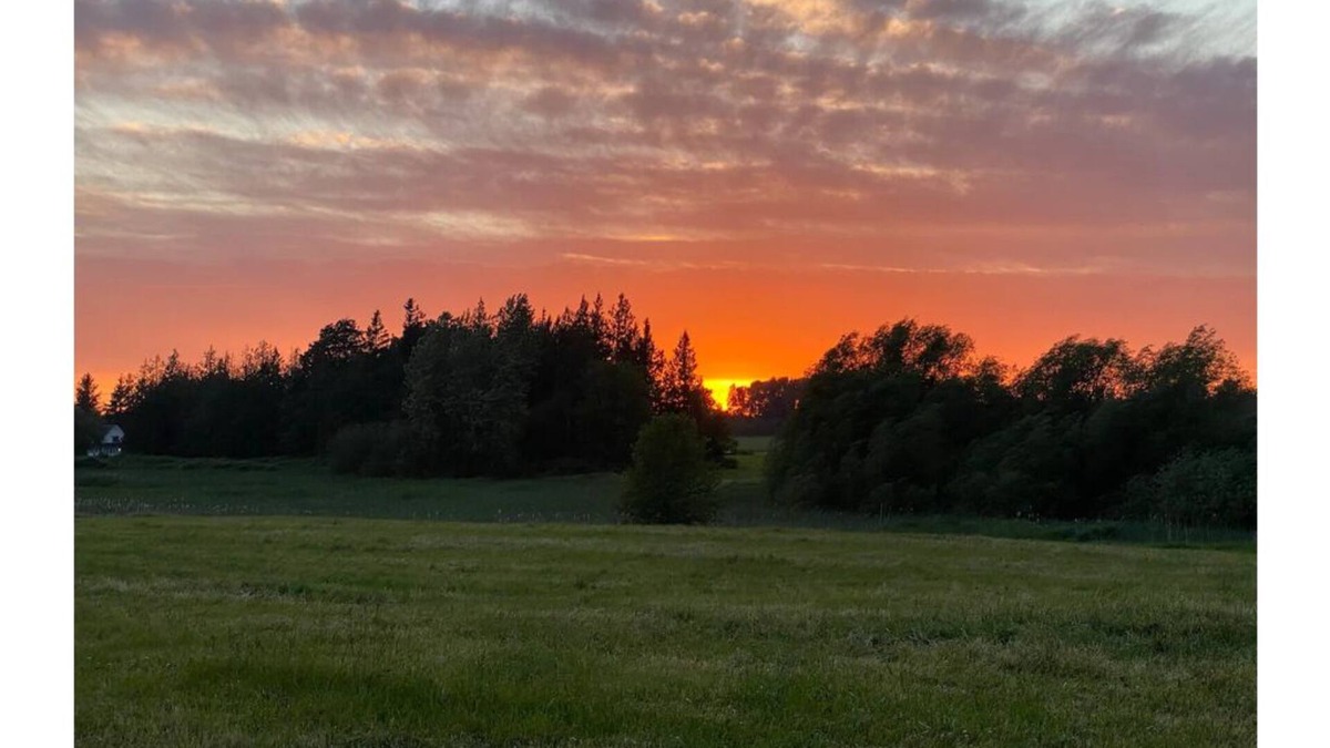 Ferndale RV Rental | Ravens’ pad campsite at June Bud Farms