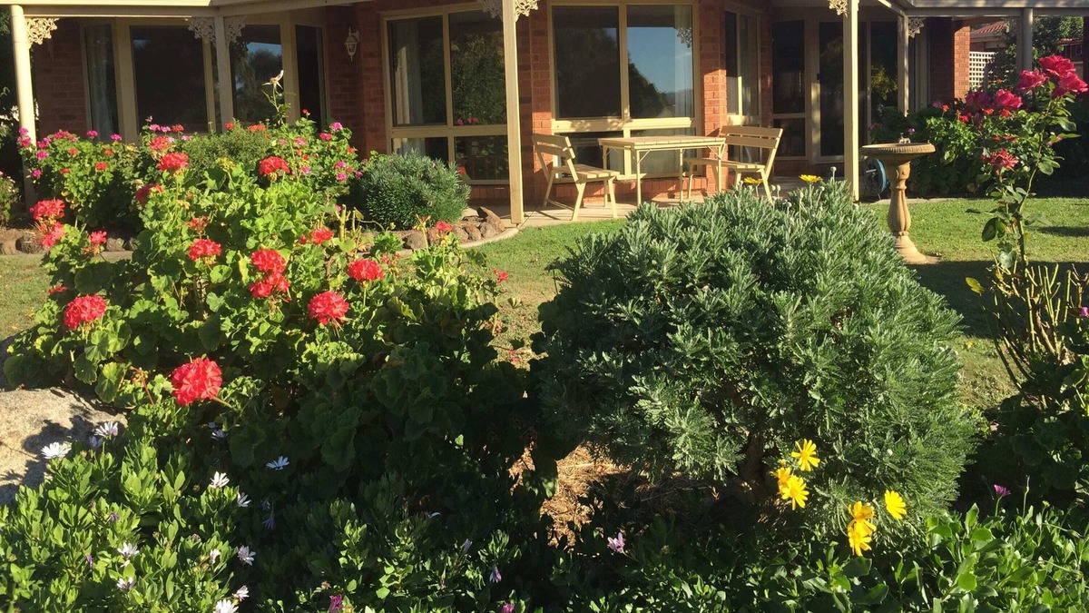 Ravenswood Apartment | Ravenswood Retreat Farmstay with friendly animals