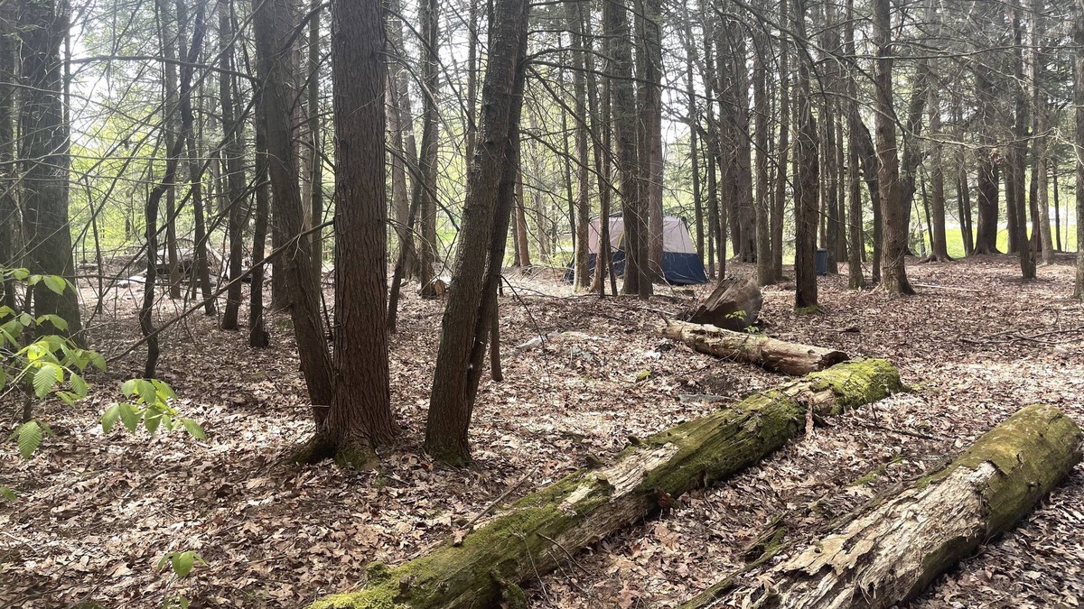 Woodridge RV Rental | Raw Camping.