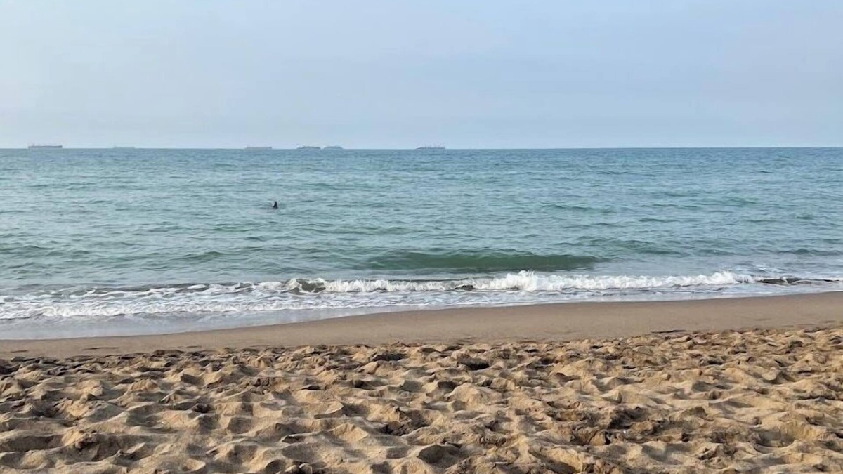 Bejaia Hotel | Raya Tichy