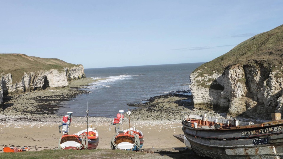 Flamborough Cottage | Razorbill