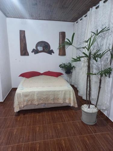 Dom Vicoso House | Recanto dos Bois de Sela