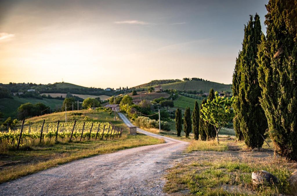 Montalto delle Marche House | Recchi Franceschini Bike Hotel LAST - MINUTE - AVAILABILITY