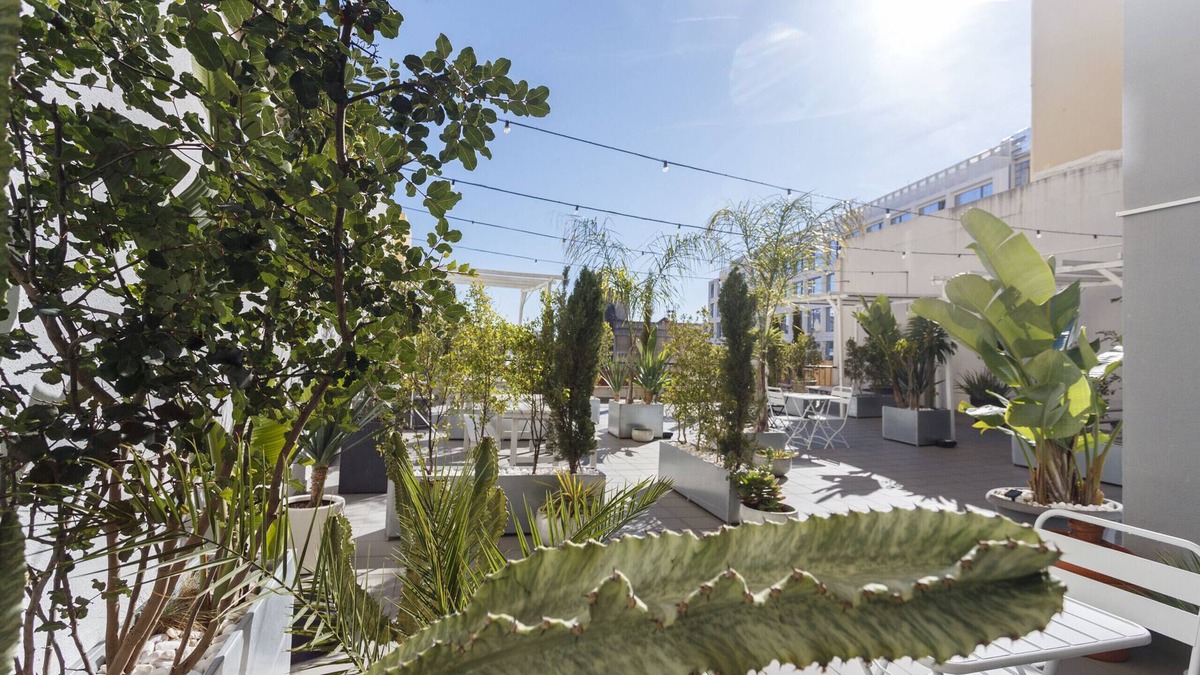 Santo Antonio Apartment | Red, Red Wine in Lisbon by Misha's Place (3B)