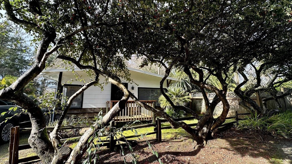 Crescent City Cottage | Redwood Trails & Ocean Access 5 Mins Away