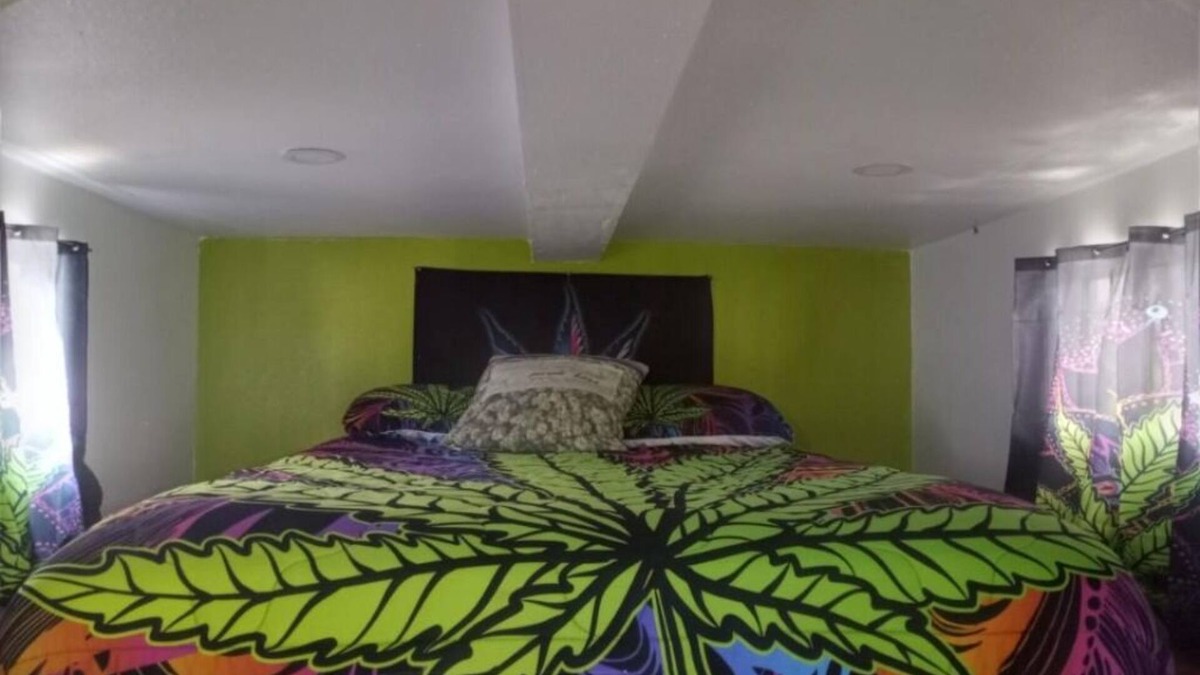 Julian House | Reefer Madness House *420, Glow in the Dark, Fun!