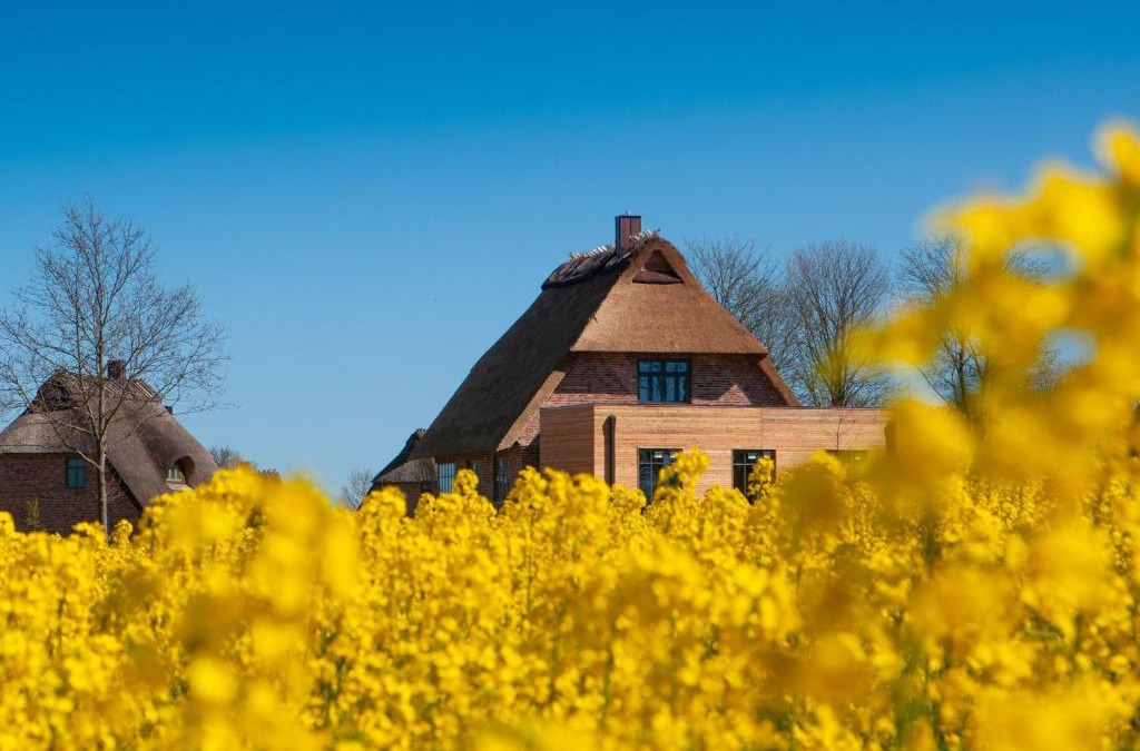 Nieby House | Reetdorf Geltinger Birk Atelierhaus Steilküste