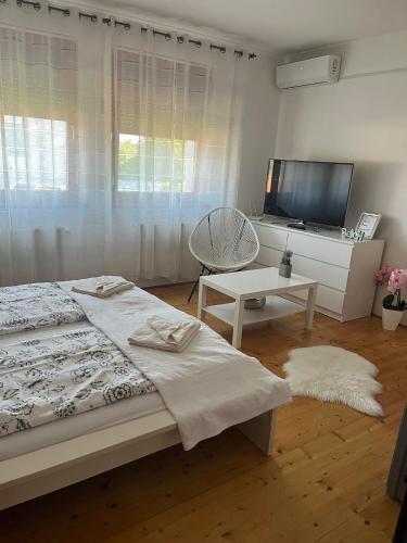 Alsóörs Apartment | Rege apartman 2