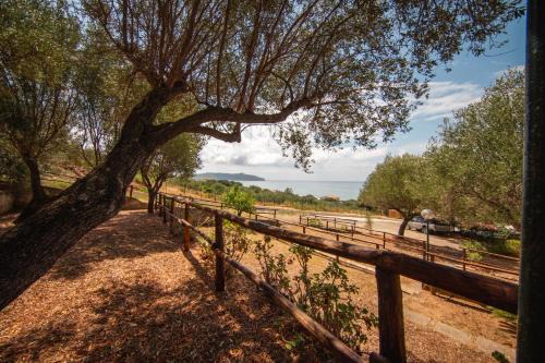 Marina di Pisciotta Other | Regina Residence Camping