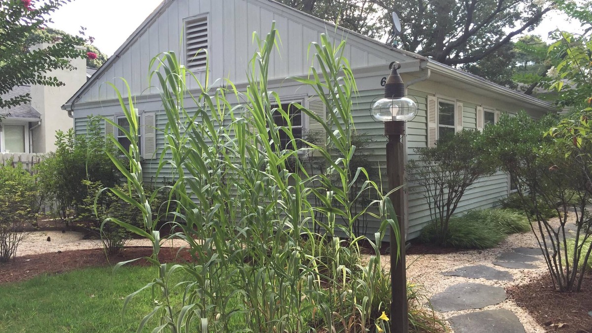 The Pines House | Rehoboth Beach - The Pines - Henlopen Avenue Cottage - 2 blocks to the beach