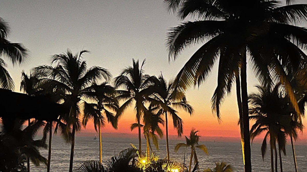Diaz Ordaz Condo | Relax amidst the palms in a 1-bedroom oceanfront condo at Los Tules.