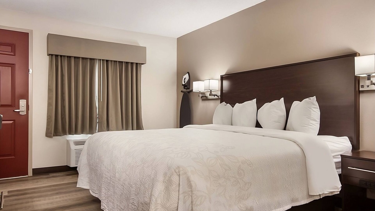 Erie Hotel | Relax and Unwind! Pet-Friendly Accommodation with FREE Parking!