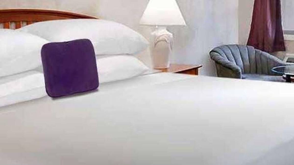 Berea House | Relax and Unwind! Pets Allowed, Free Breakfast and Parking, Near Lincoln Hall!