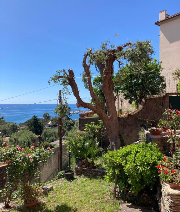 Arenzano House | Relax