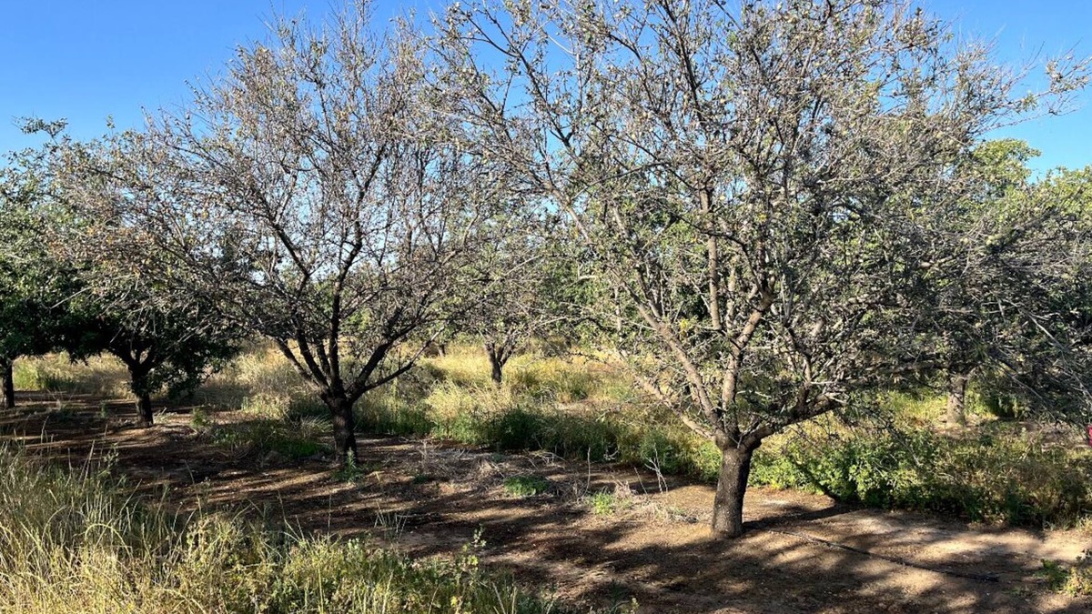 Merced County House | Relax on 475 acre scenic ranch, 4-Bed/BR, Surrounded by Nature, 1.5hr -Yosemite.