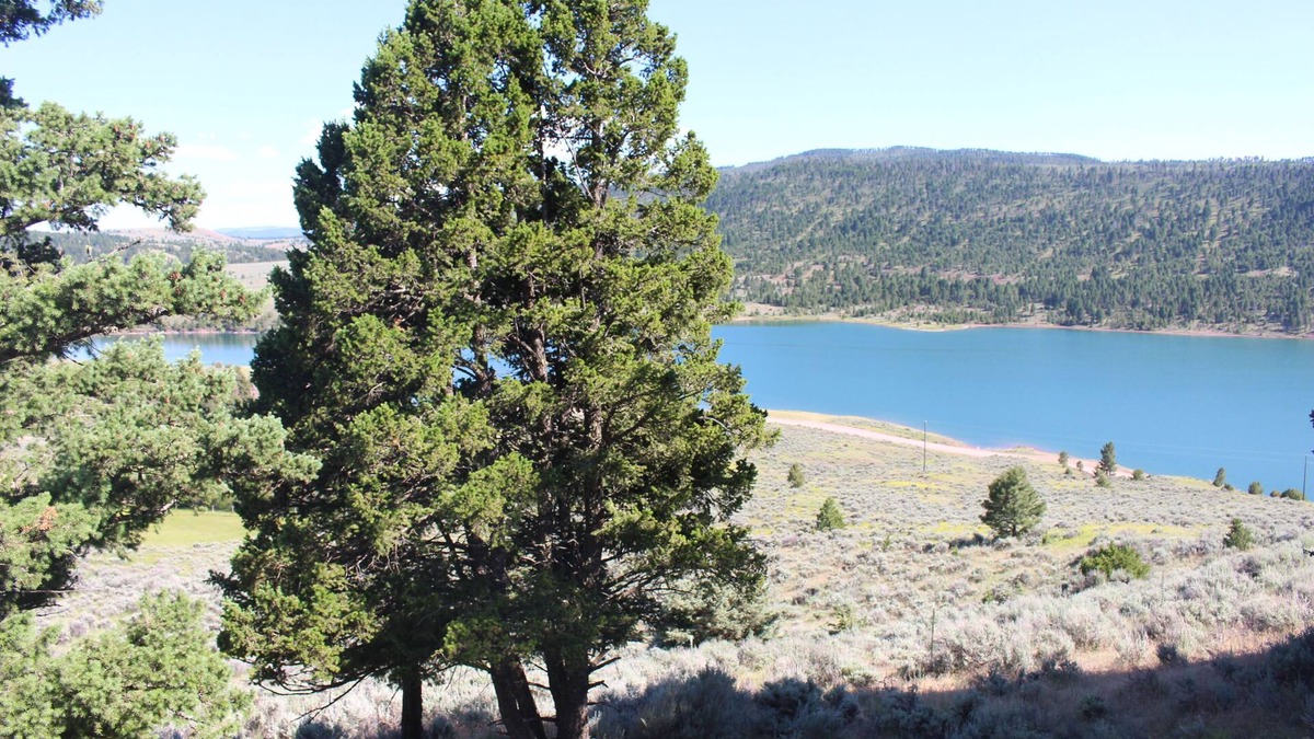 White Sulphur Springs House | Relax & unwind in the mountains with a beautiful view of Newlan Creek Reservoir