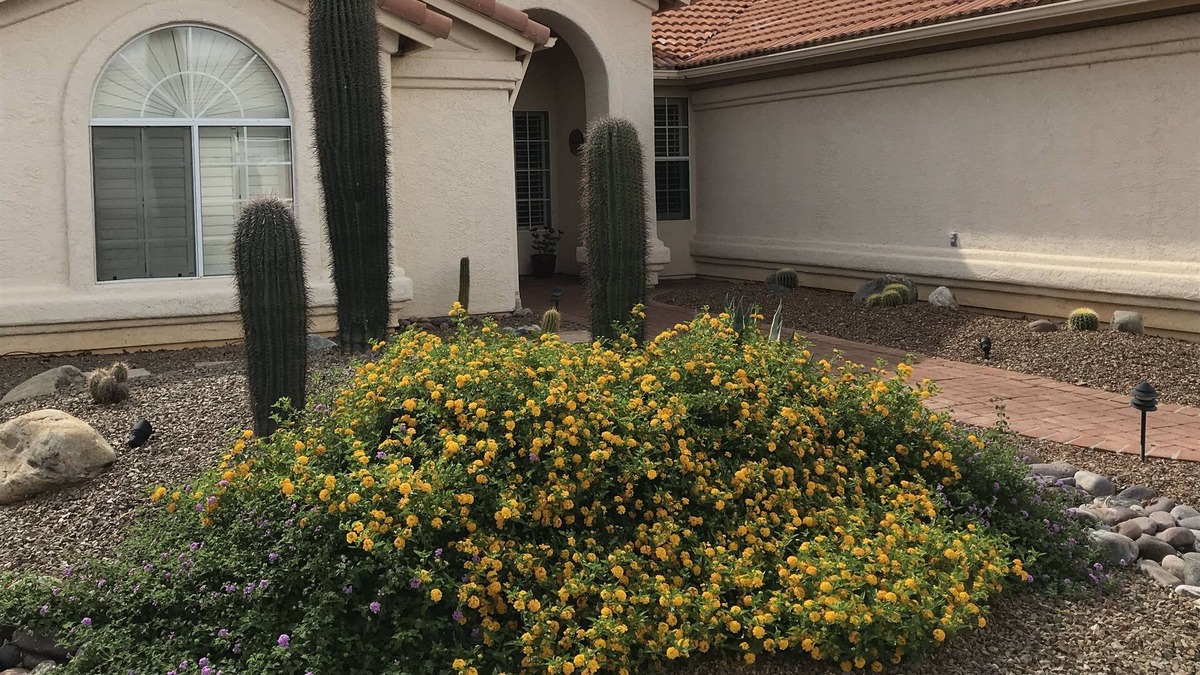 Saddlebrooke House | Relax With A Gorgeous Panoramic Golf Course and Mountain View