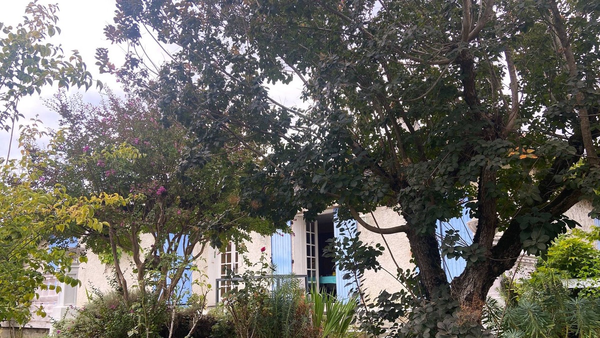 Gaillac House | Relaxation at the crossroads of the Bastides tarnaises