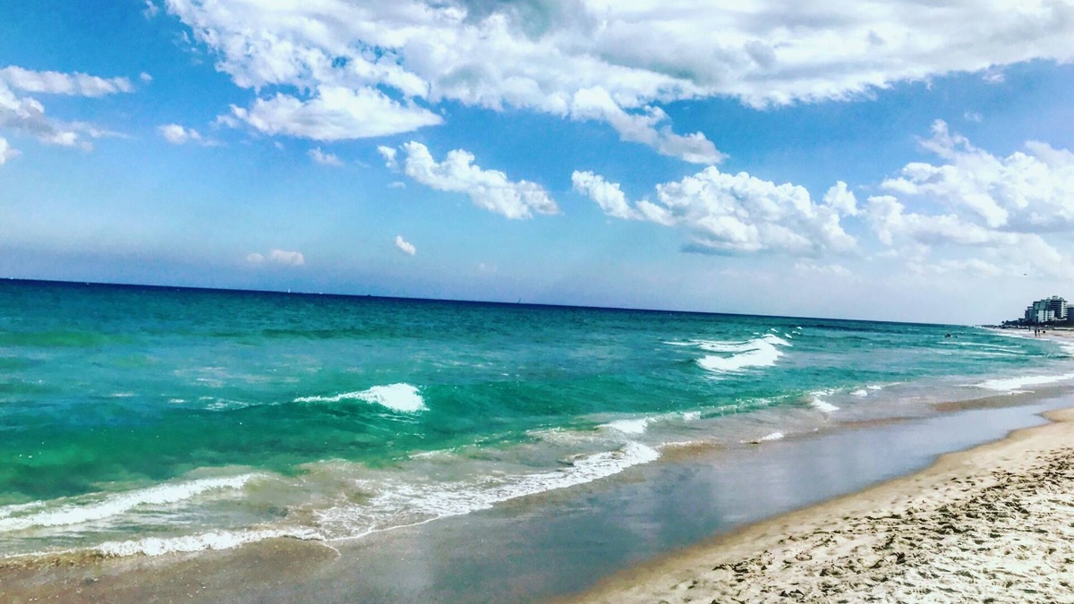 Palm Beach Gardens House | Relaxing Florida Home nearby Ocean and Paley Institute!