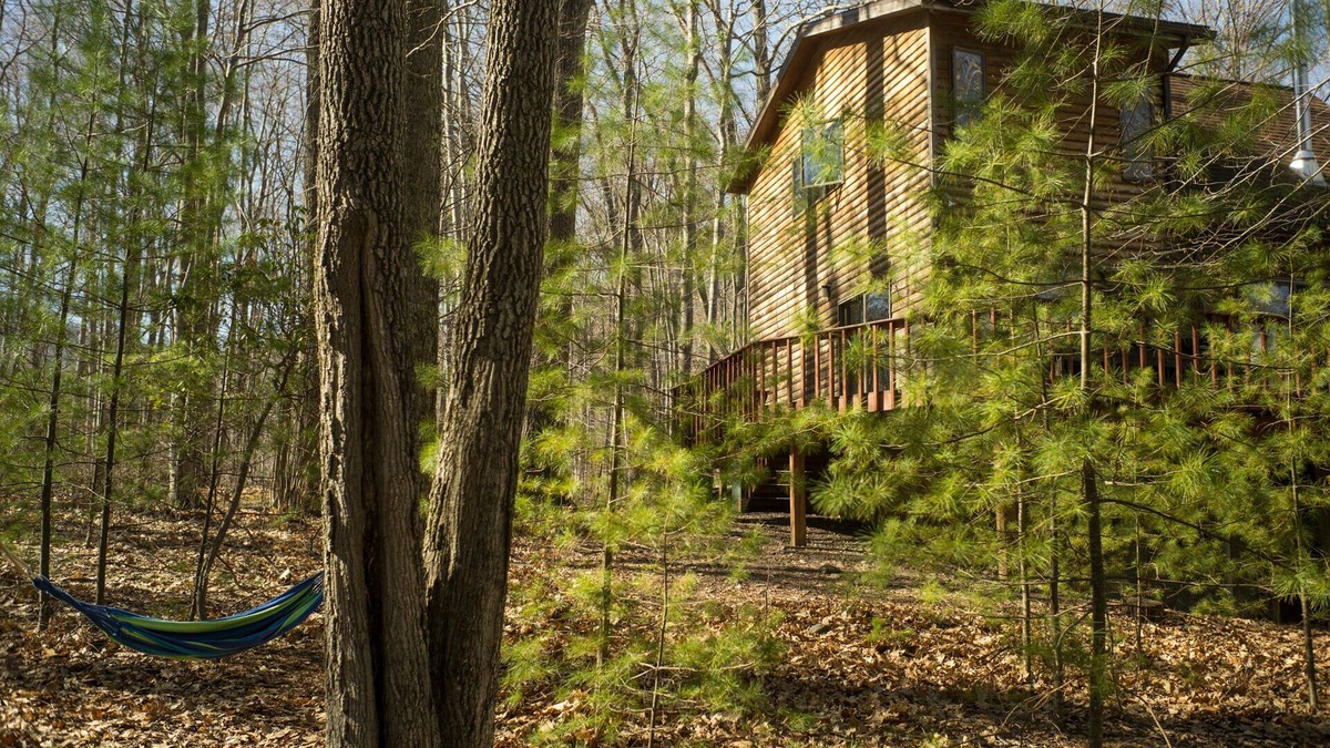 Willow House | Relaxing House in Catskills Forest Near Pretty Pond - near Woodstock/Phoenicia.