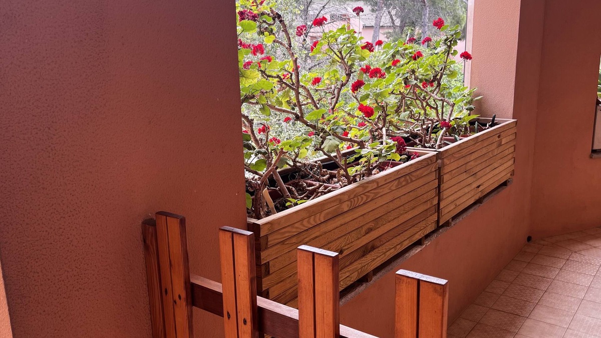 Sorso Apartment | Relaxing in the pine forest near the sea