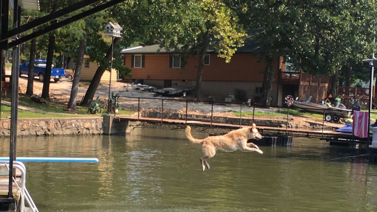 Climax Springs House | Relaxing pet friendly lake front home with large swim dock with 24' boat slip