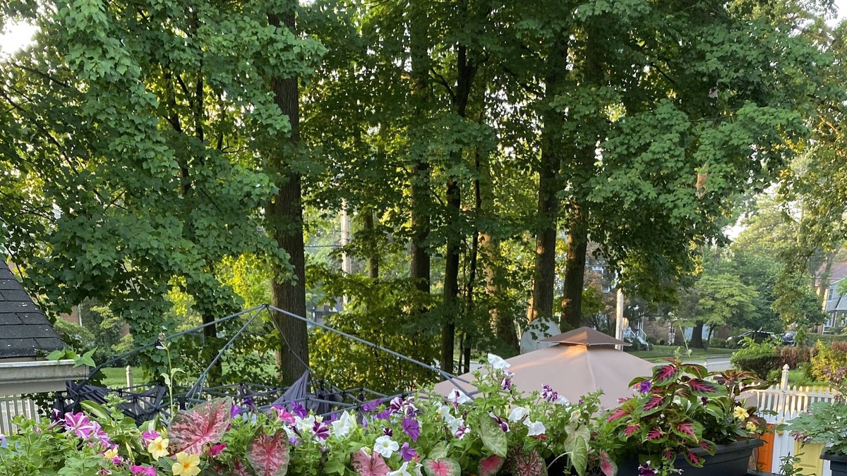 Teaneck House | Relaxing room in private house close to New York City