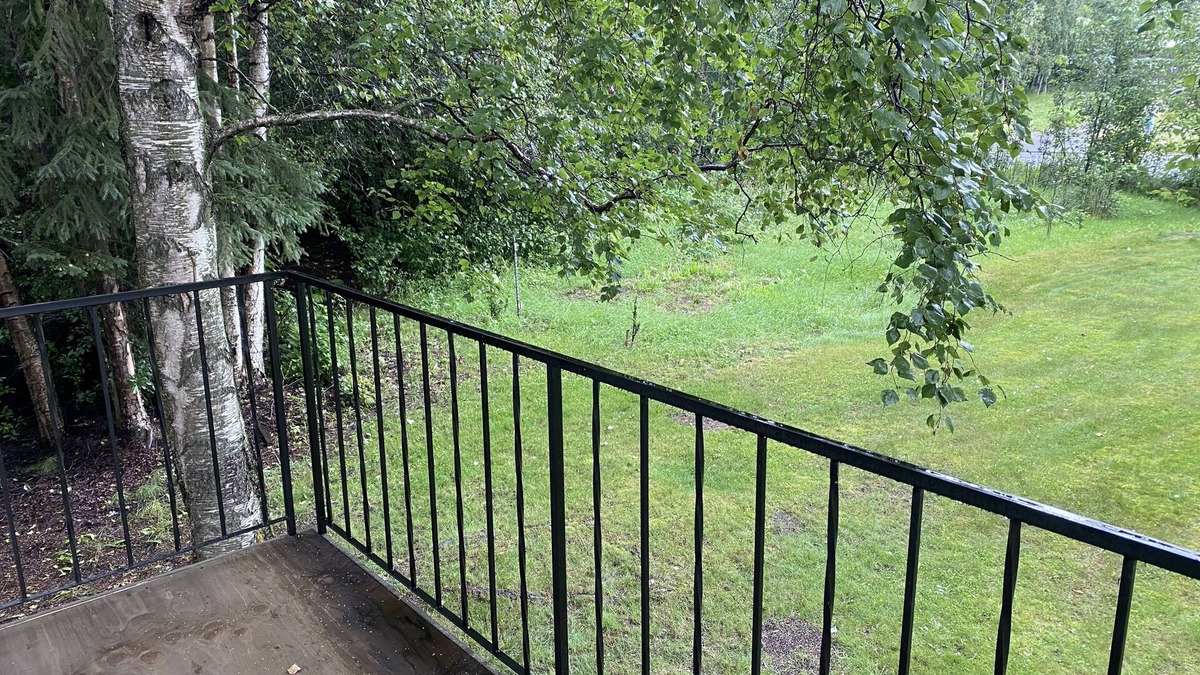 Taku - Campbell Apartment | Remodeled 1 bed apt near airport in quiet neighborhood, unit 4