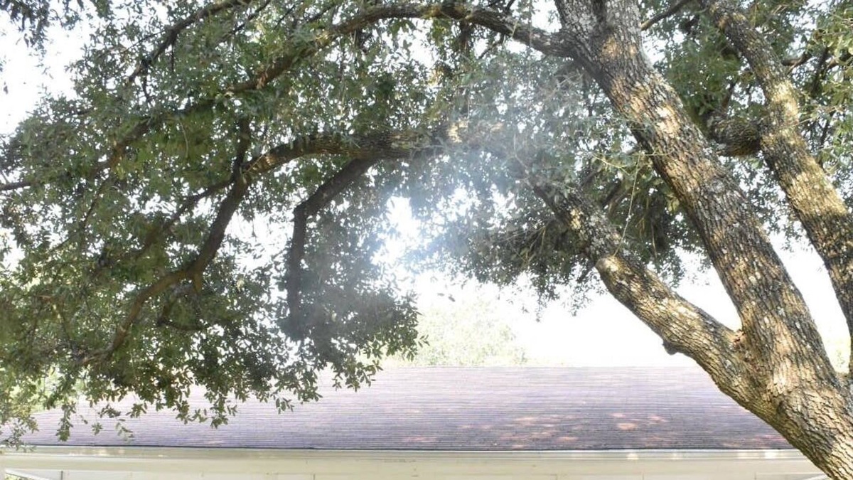 Royse City Cottage | Remodeled 3br/2ba cottage in quiet neighborhood