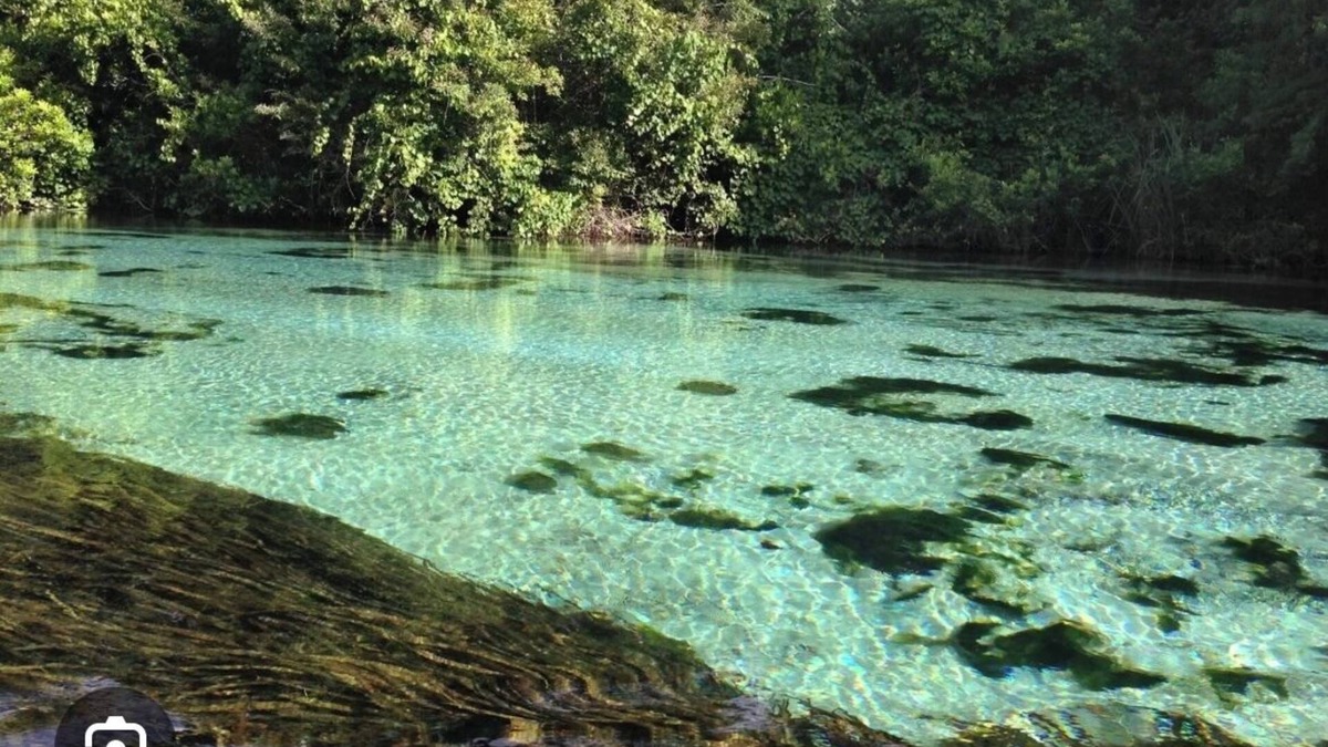 Weeki Wachee Gardens Cottage | Rent Cottage and/or RV site 37ft ' Fish, Kayaks, Fire Pit, Dock, Beach, Swim