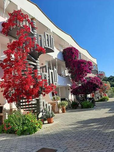 Mandrione Apartment | Residence Jolly