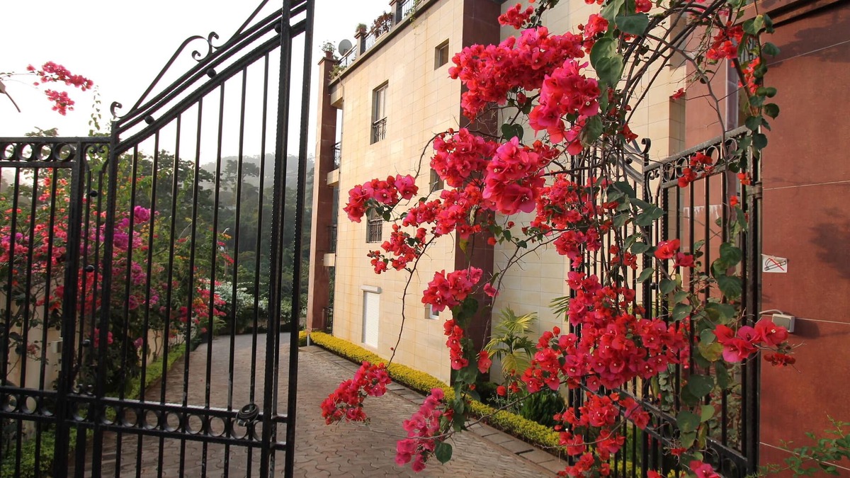 Yaounde Apartment | Residence Massou The Penthouse