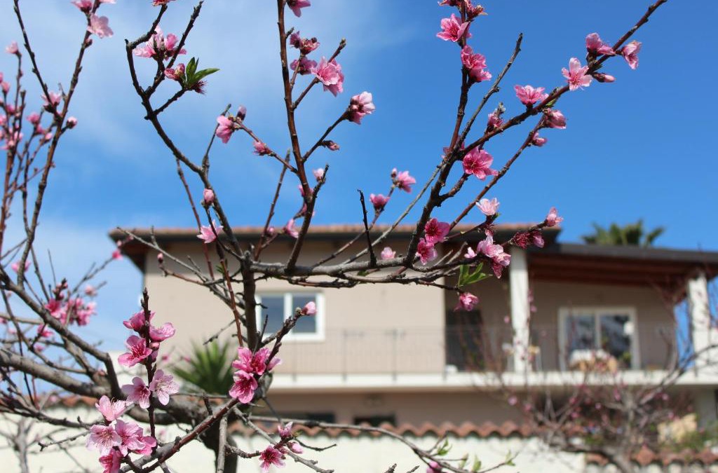 Briatico Bed & Breakfast | Residenza Anna Calabria