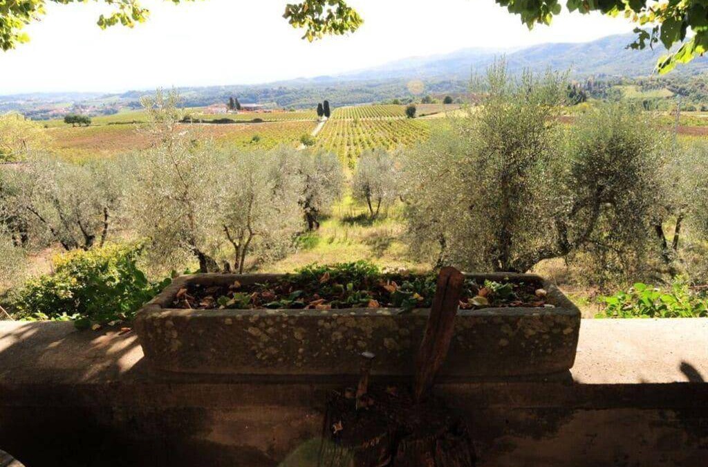 Rignano sull'Arno Resort | Resort ∙ 12 bedrooms ∙ 13 guests