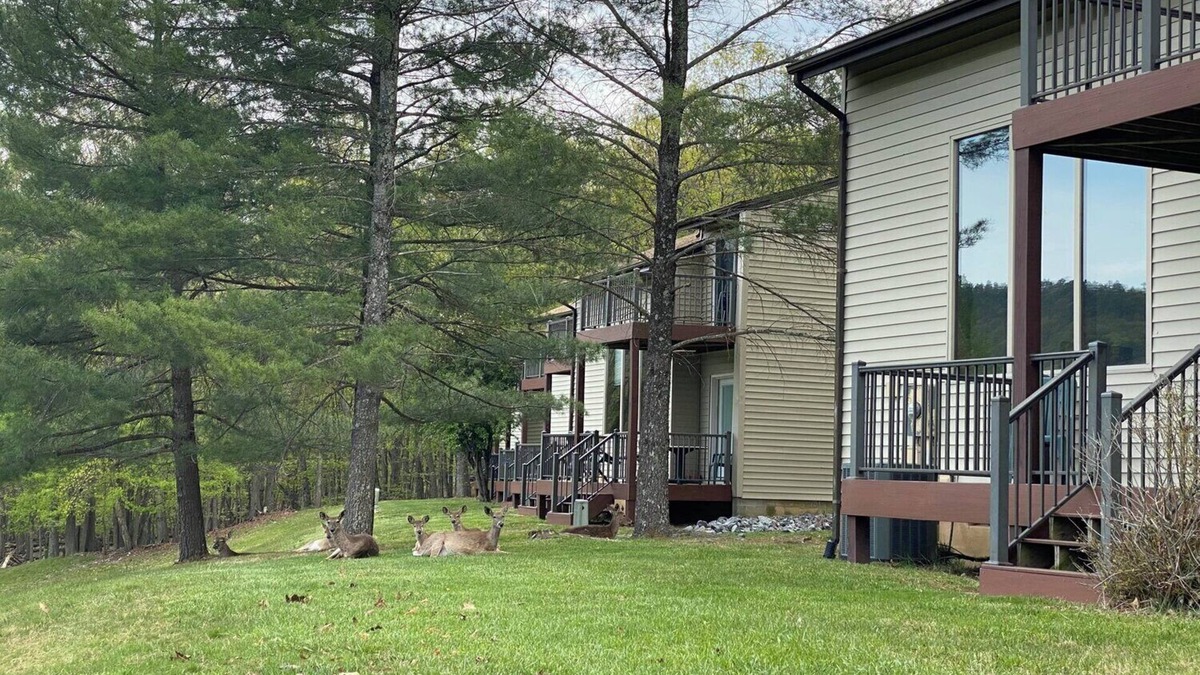 Massanutten House | Resort 2-bedroom townhome in peaceful McGaheysville on golf course.